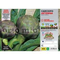 Carciofo romanesco