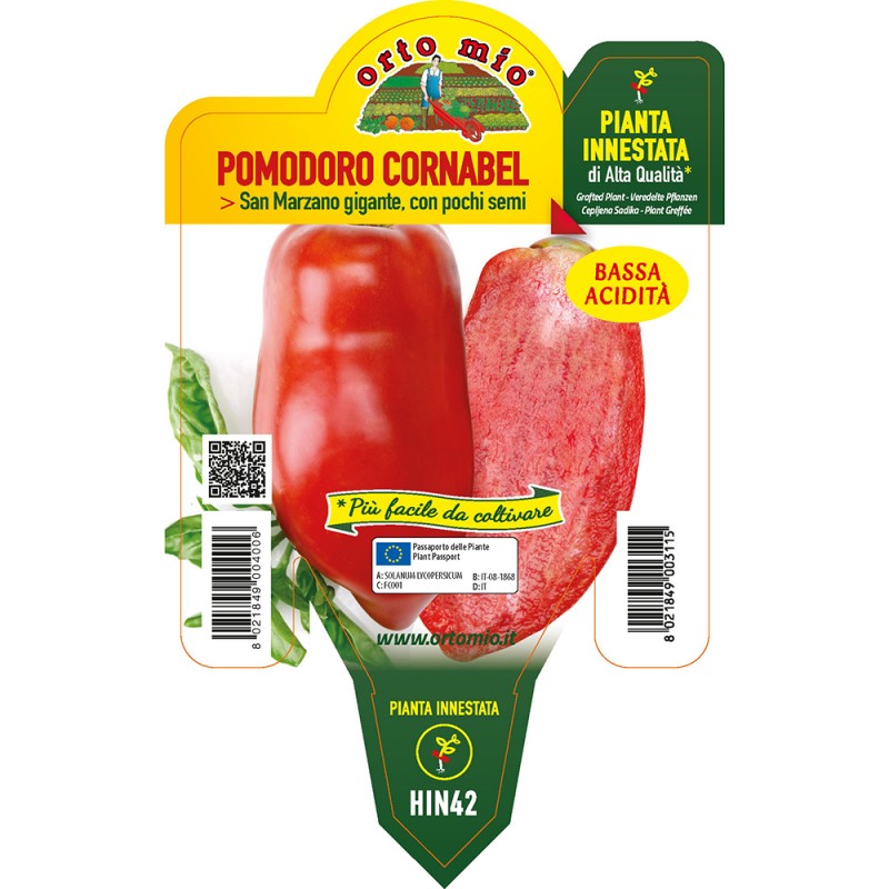 Pomodoro Cornabel