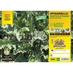 Broccolo Spigariello