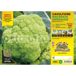 Cavolfiore Macerata tardivo...