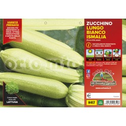 Zucchino bianco