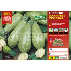 Zucchina bolognese da riempire