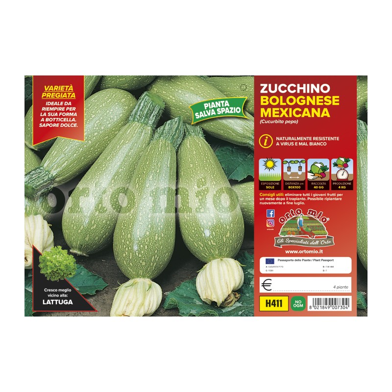 Zucchina bolognese da riempire