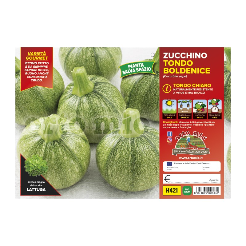 Zucchino tondo