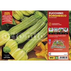 Zucchino romanesco