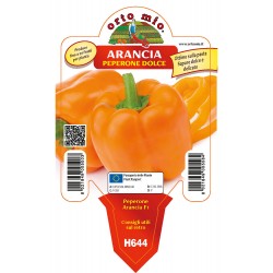 Peperone arancione Arancia F1