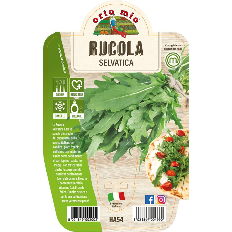 Rucola vaso