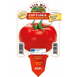 Pomodoro Optima vaso