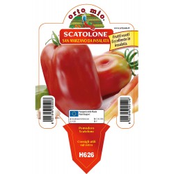 San Marzano Vuoto vaso