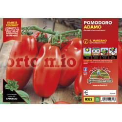 San Marzano Adamo Green F1