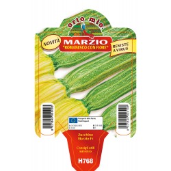 Zucchino romanesco F1 vaso