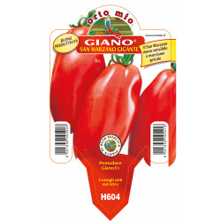 San Marzano gigante Giano F1