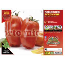 San Marzano Vuoto