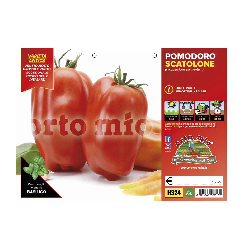 San Marzano Vuoto