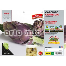 Carciofo violetto rifiorente precoce Capriccio