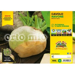 Cavolo Navone Rutabaga