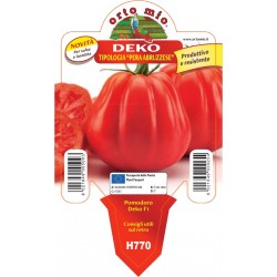 pomodoro a cuore tipo pera abruzzo F1 var Deko