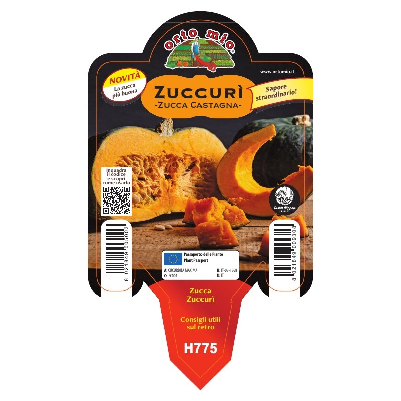 zucca casta Zuccurì