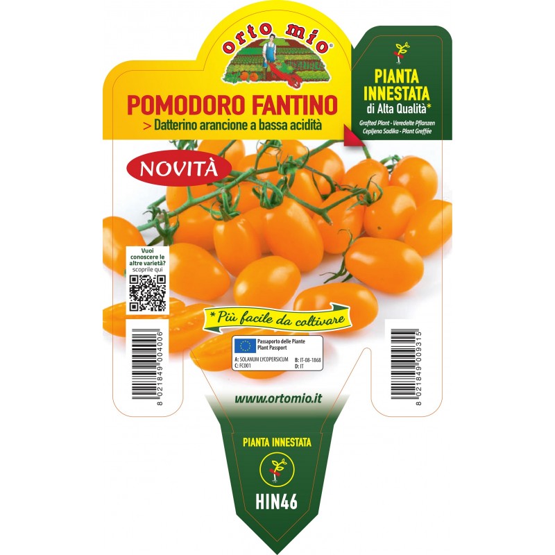 pomodoro datterino arancio Fantino