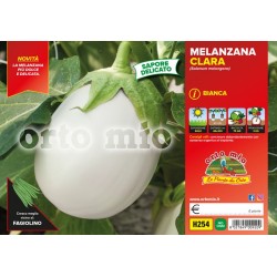 Melanzana bianca Clara