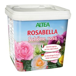 Rosabella bio