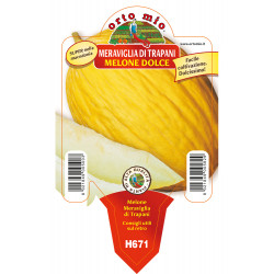 Giallo meraviglia di...