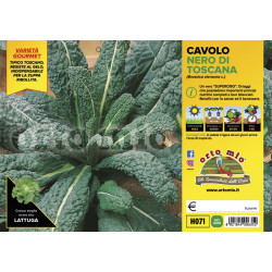 Cavolo nero di Toscana var....