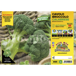 Broccolo calabrese...