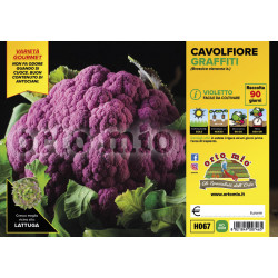 Cavolfiore violetto res. a...