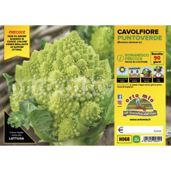 Cavolfiore romanesco...