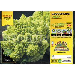 Cavolfiore romanesco...