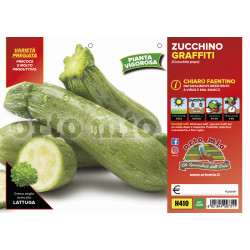 Zucchino chiaro faentino F1