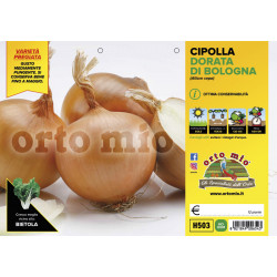 Cipolla dorata di Bologna