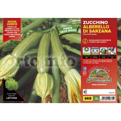 Zucchino alberello