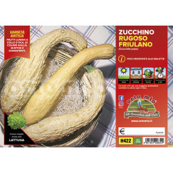 Zucchino rugoso friulano