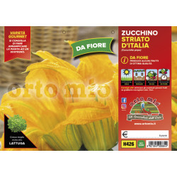 Zucchino da Fiore