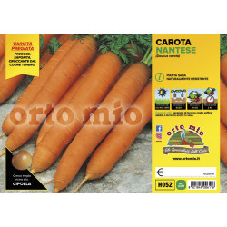 Carota nantese var. Soprano F1