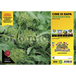 Cima di rapa sessantina