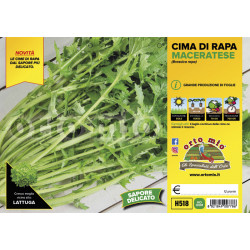 Cima di rapa maceratese