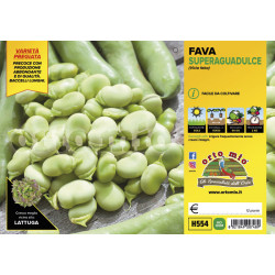 Fava var. Superaguadulce