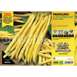 Fagiolino nano giallo di...