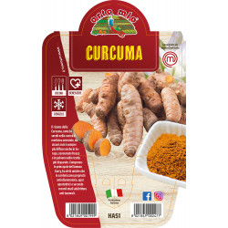 Curcuma