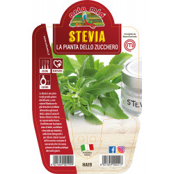 Stevia