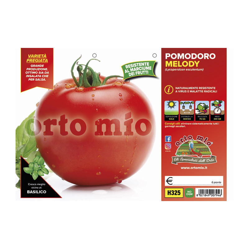 Pomodoro tondo da mensa