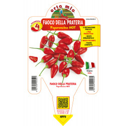 Peperoncino piccante HOT...