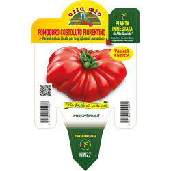 Pomodoro costoluto...